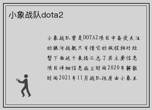 小象战队dota2